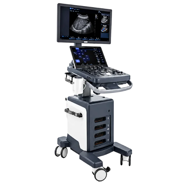 Ultrasonido de imagen general compacto doppler color D-40 - Imagen 3