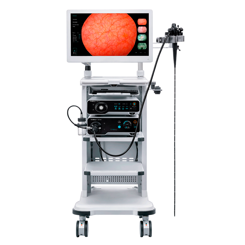 sistema de video endoscopia