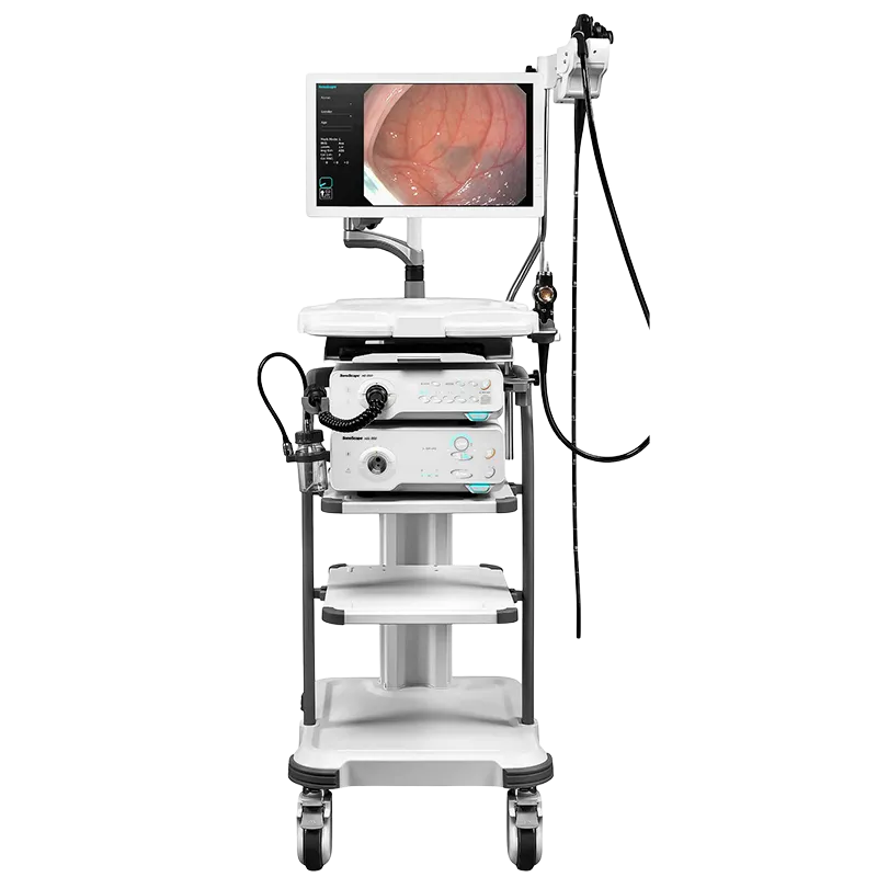 Endoscopio, cámara y  procesador de imagen HD-350
