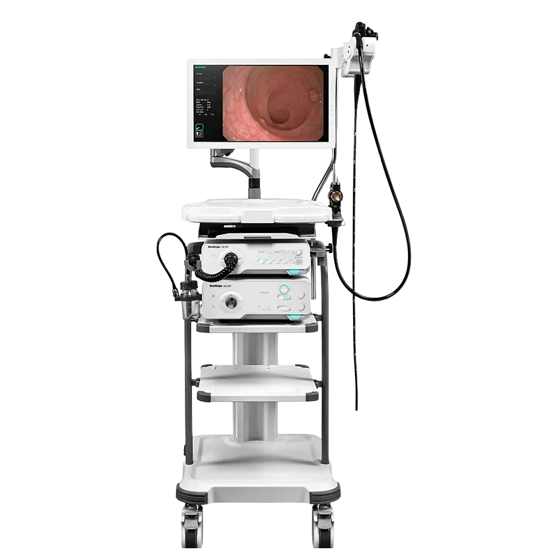Endoscopios